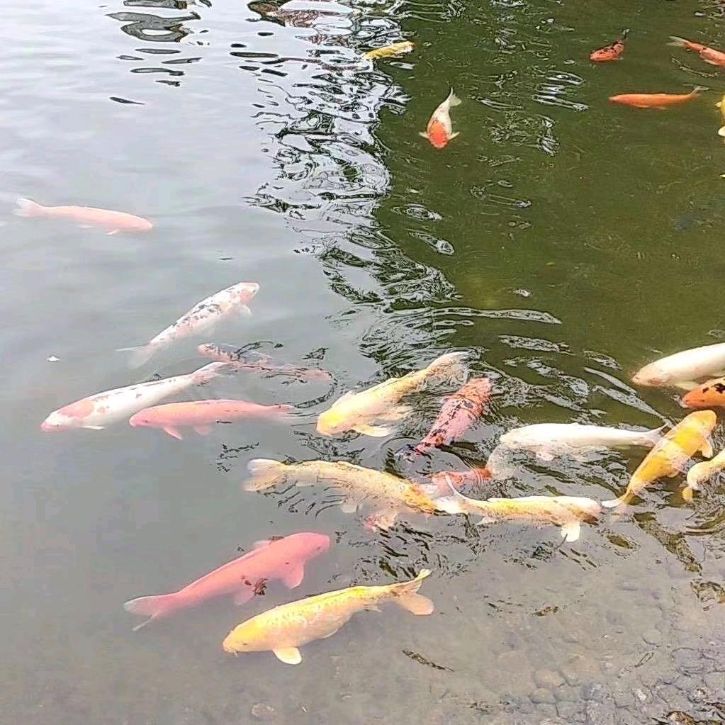 牡丹江老刘（建行前员工）