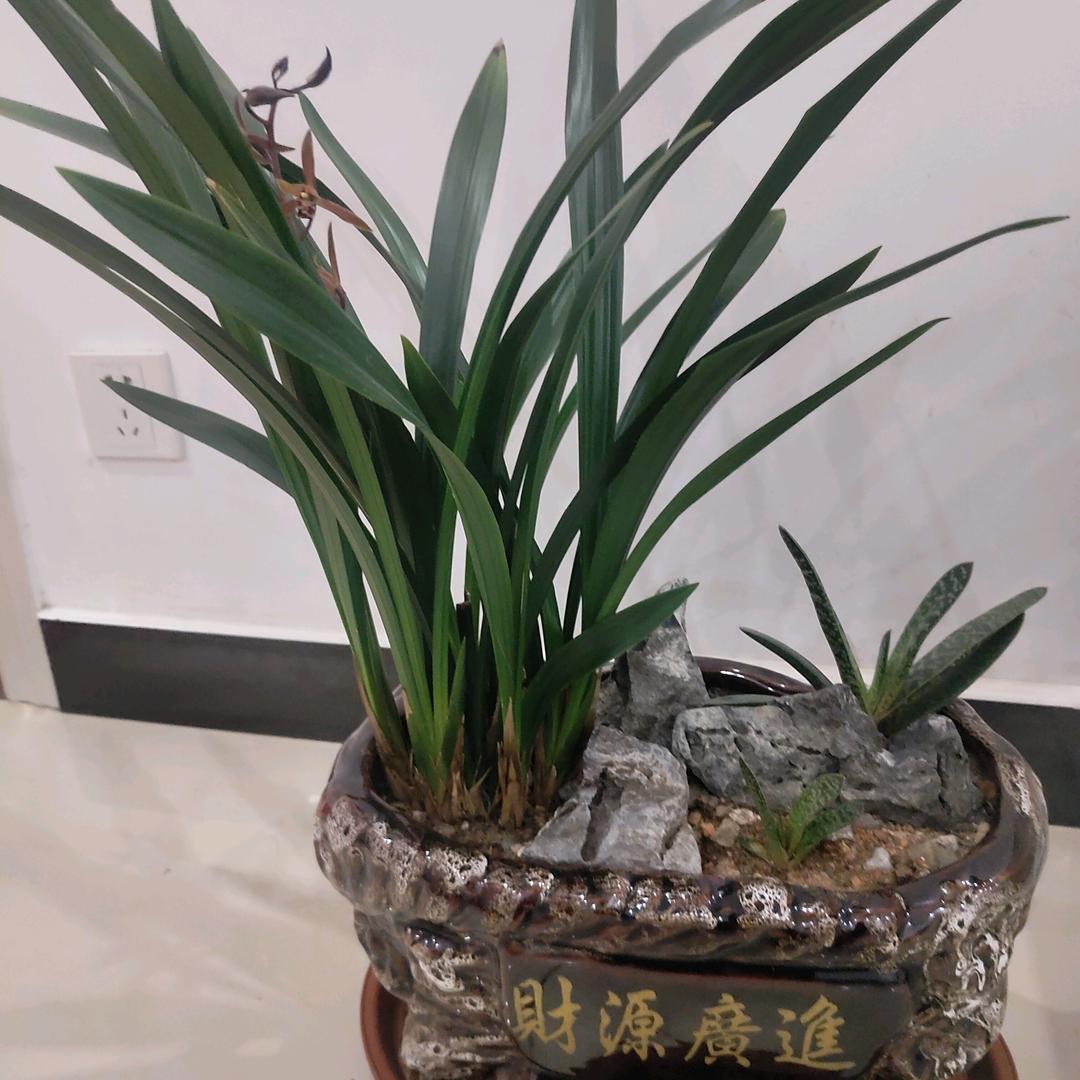 初心：