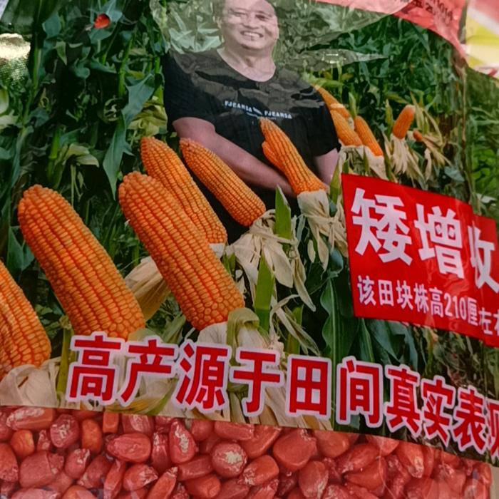 李