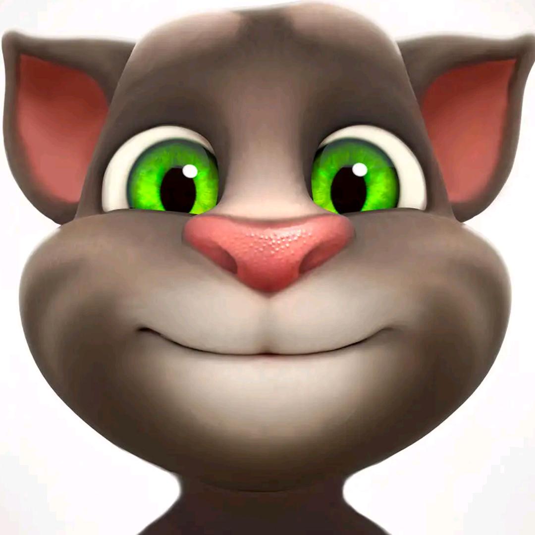 公考猫哥