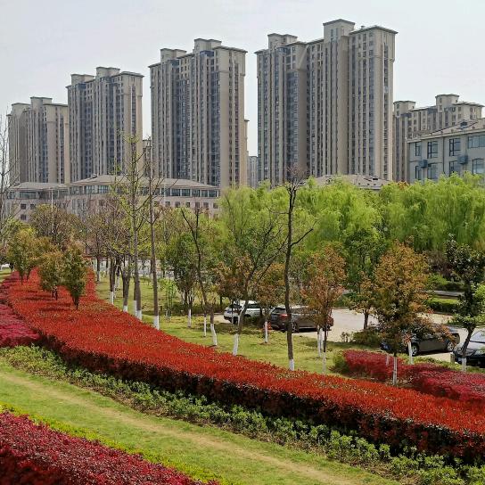 （🐴李尚网来🐴）