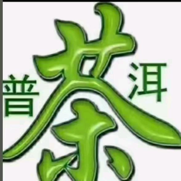 普洱古树    春莲茶叶