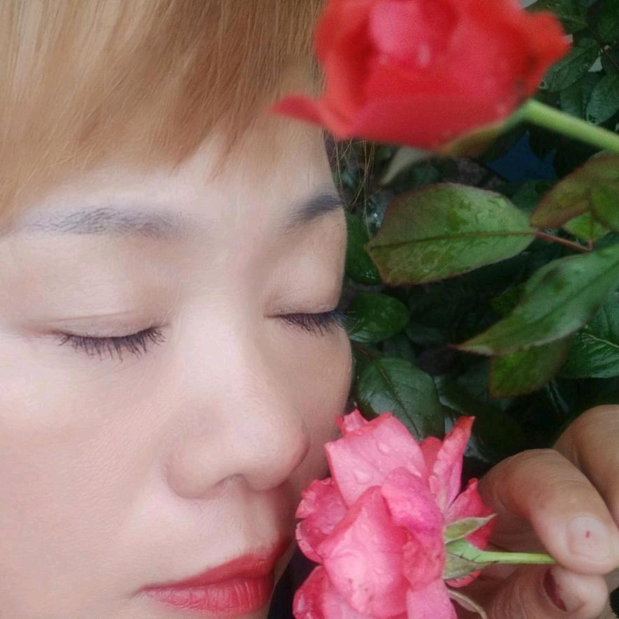 康美曲子