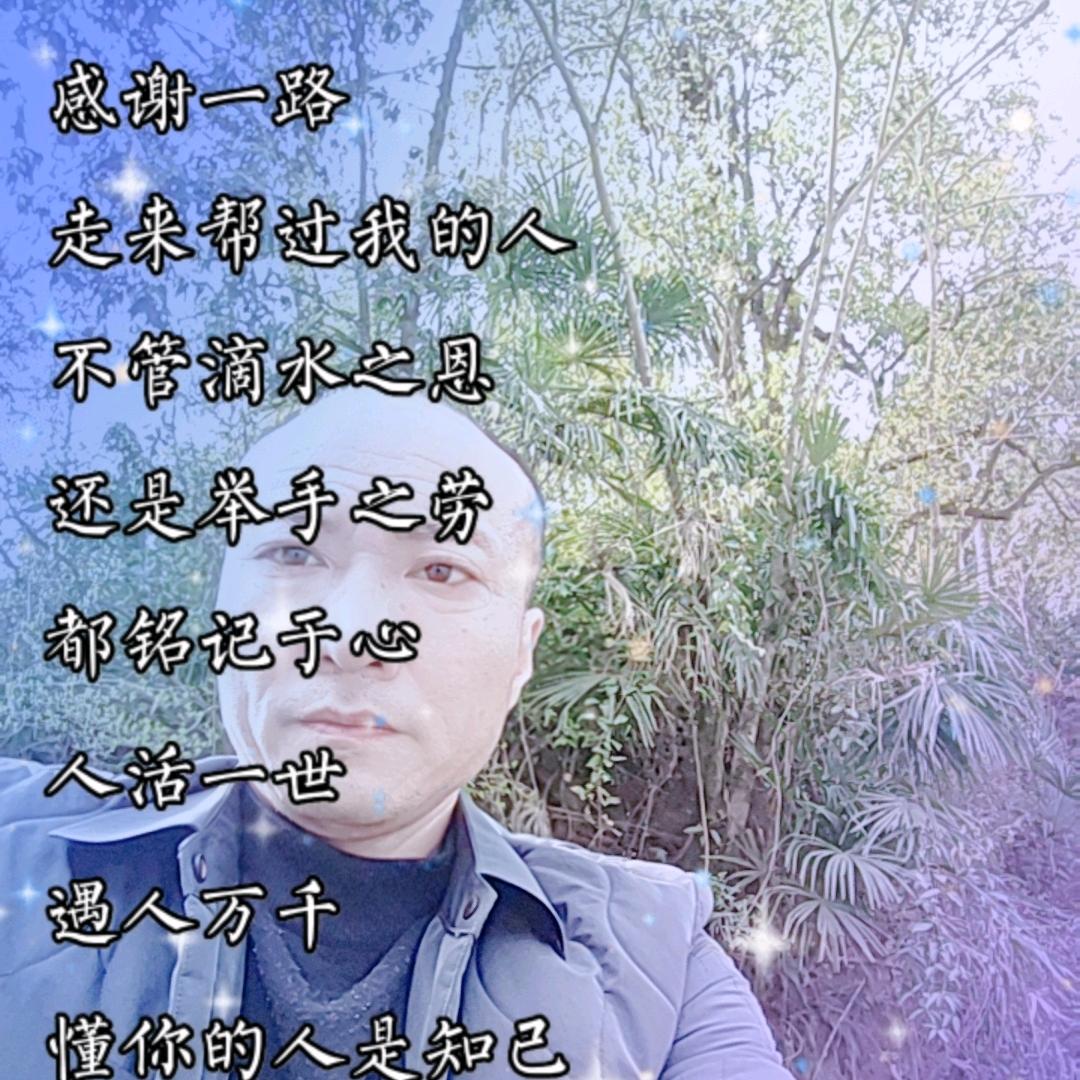 山地光伏项目，小蜜蜂引孔团队