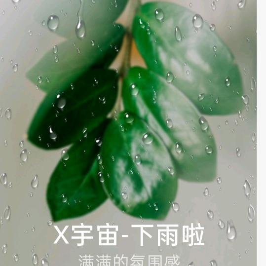 闲云☁️