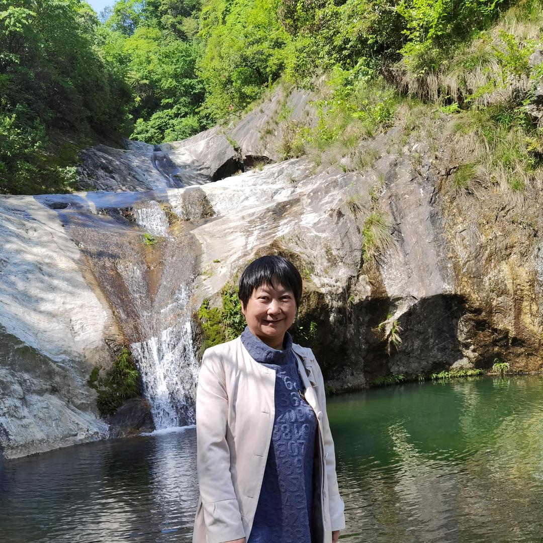 鸿雁高飞
