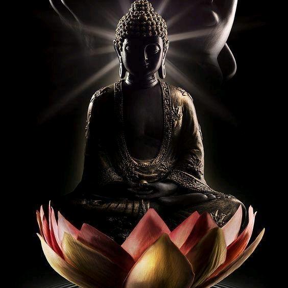 🙏🙏🙏佛缘🙏🙏🙏