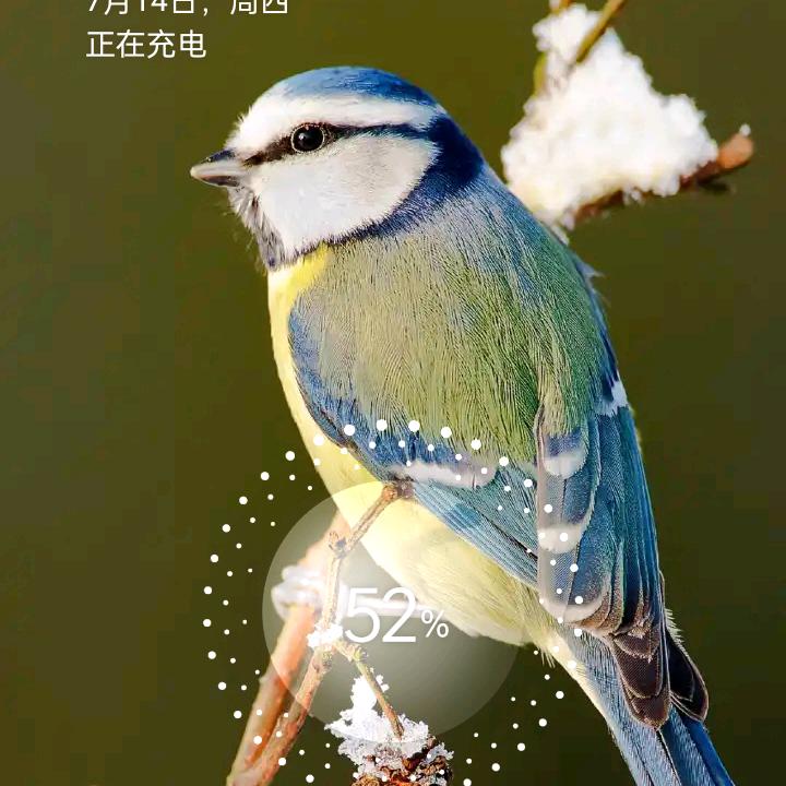 （退伍兵）牧羊人