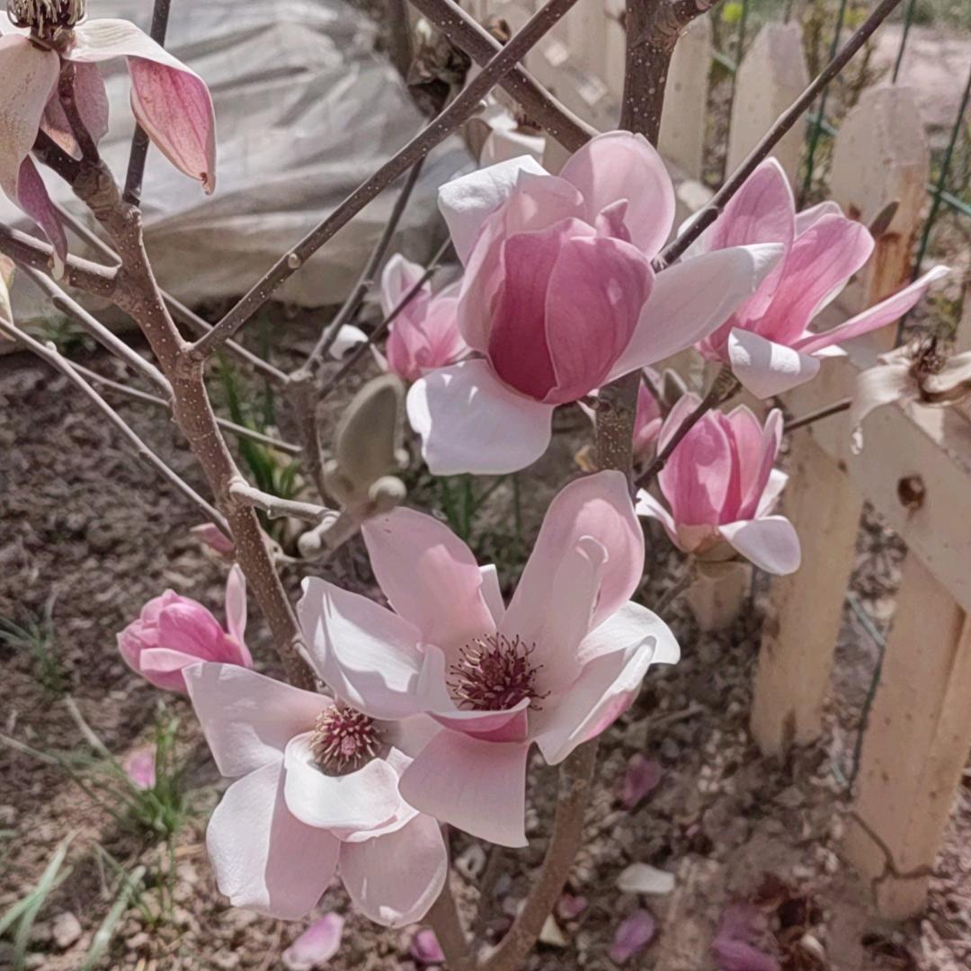 ᭄多财ღ᭄多亿💞