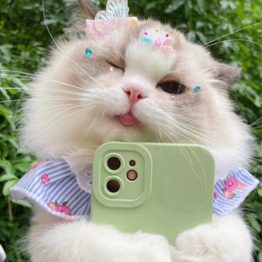 我爱钱！钱爱我！钱从四面八方来！