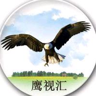 鹰视汇