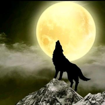 如若有你一生和求