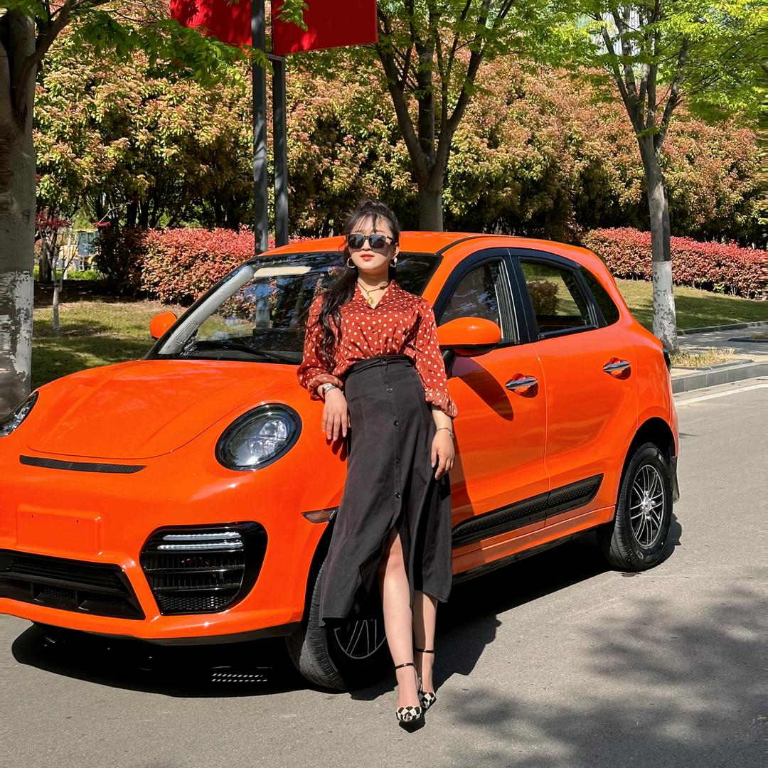 园园低速新能源代步车