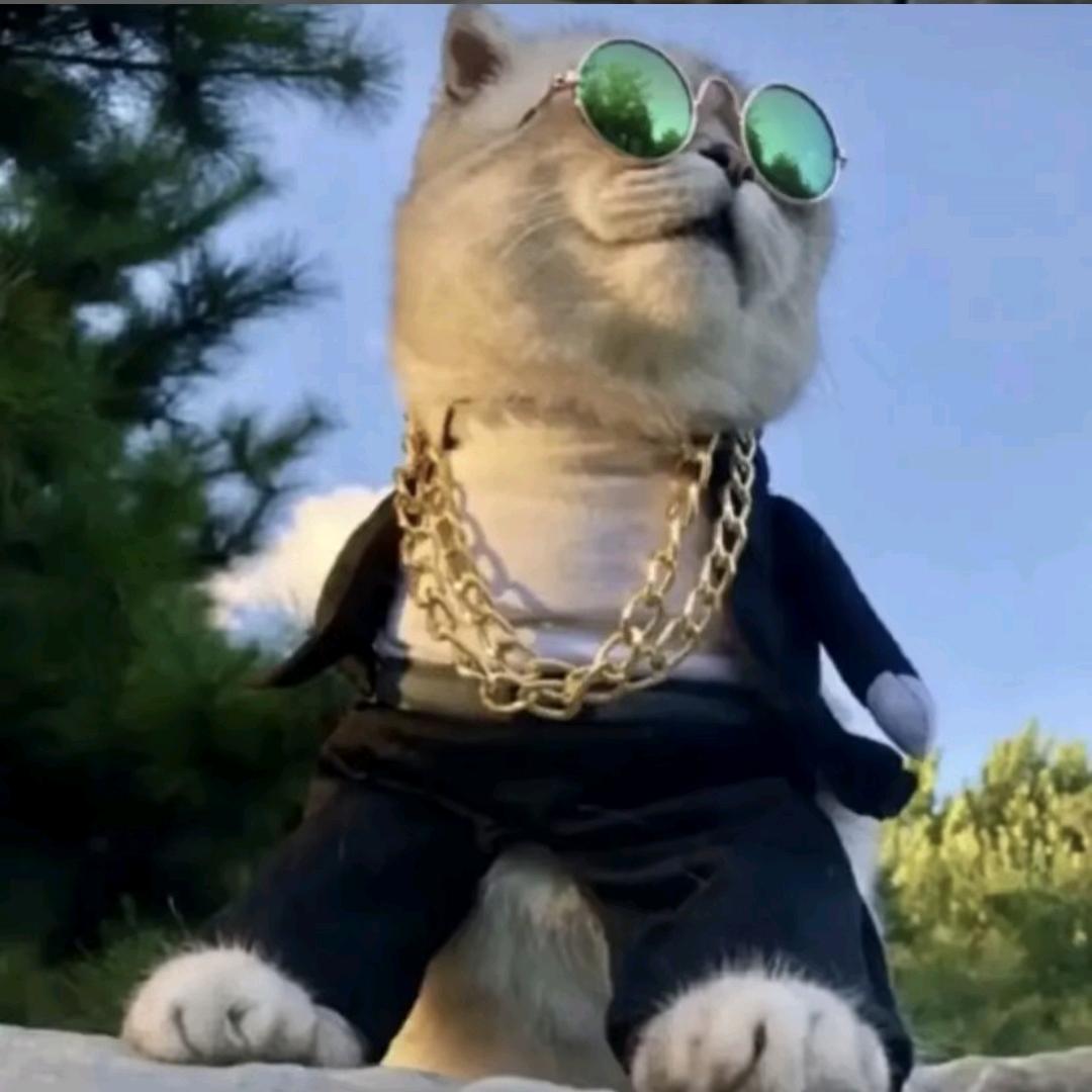 🌈82年的拉菲草