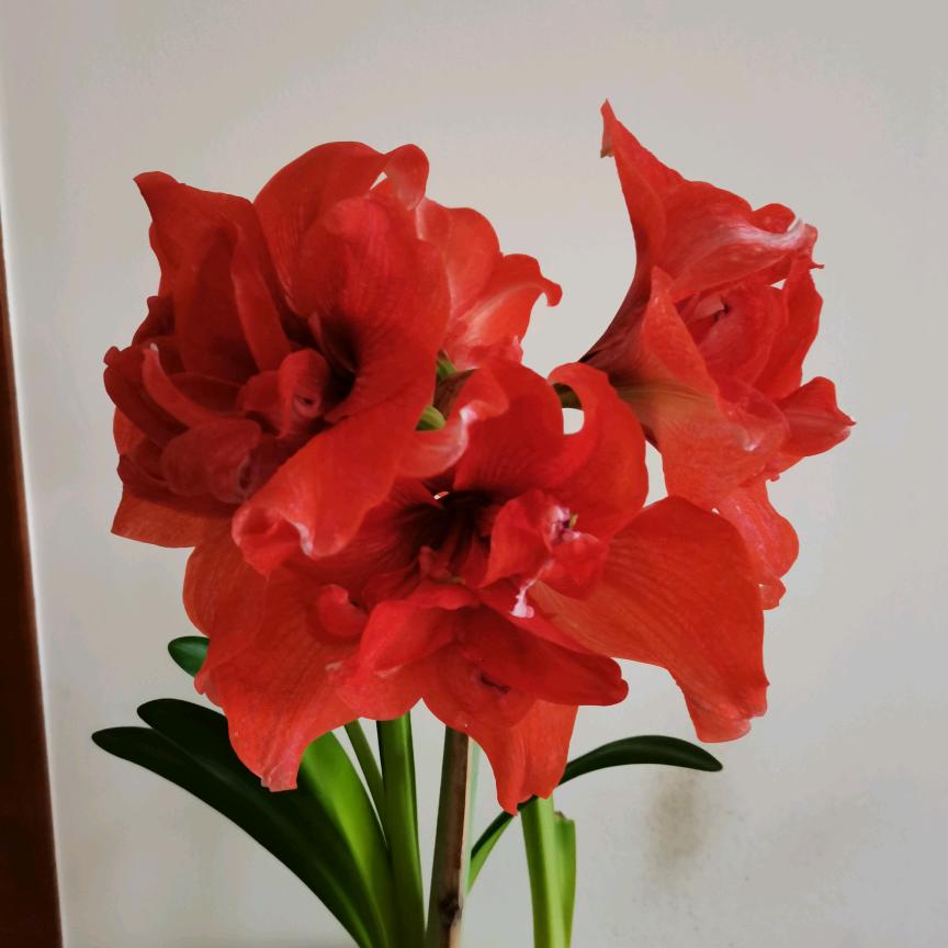 合家欢乐～