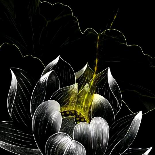 楓