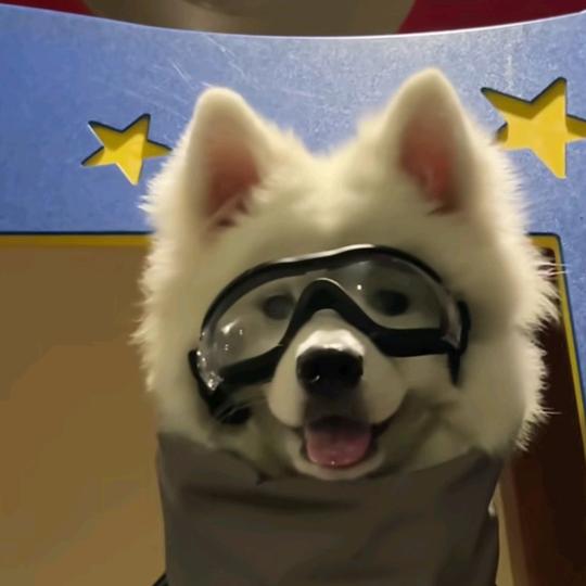 嘻嘻哈哈开拖拉