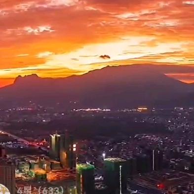 日月🐰🐰🍎🍎