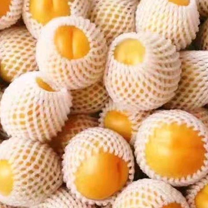 张航果业