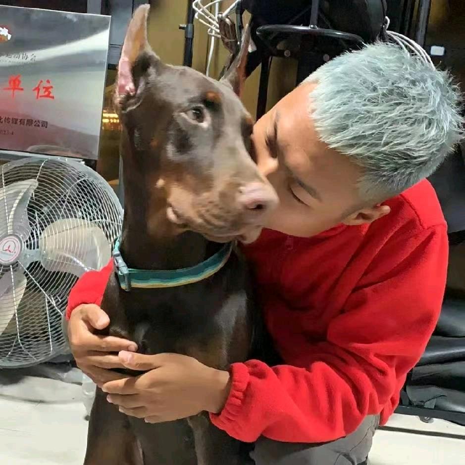 奇🐴