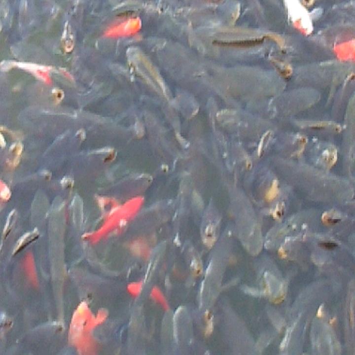 好运暴涨ƪ(˘⌣˘)ʃ优雅