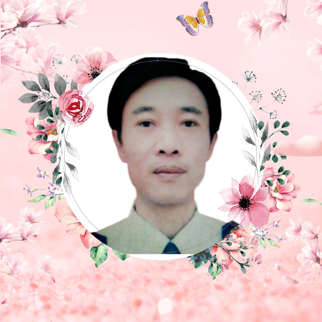 忘不掉你的影子