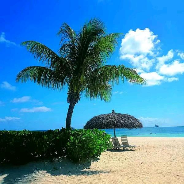 柠蓝浅夏
