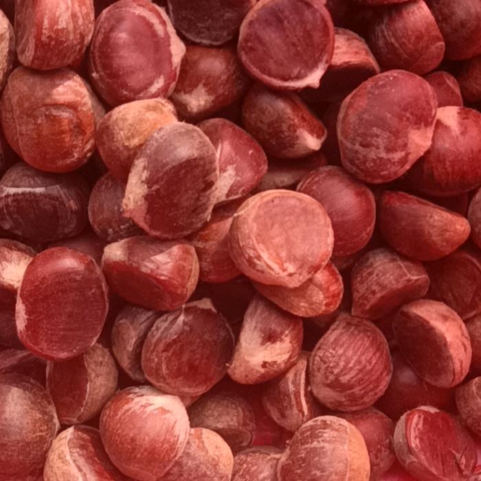 大量供应板粟，山茶籽，楠竹