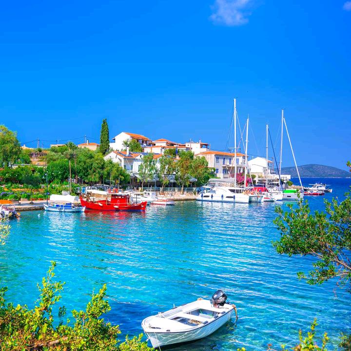 蓝天大海自由人