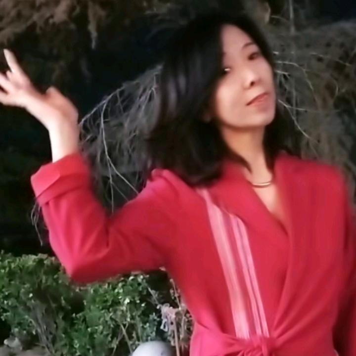 几轮秋冬