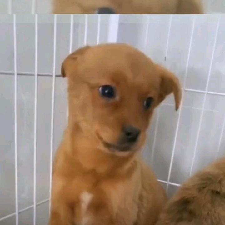 ～霓裳～