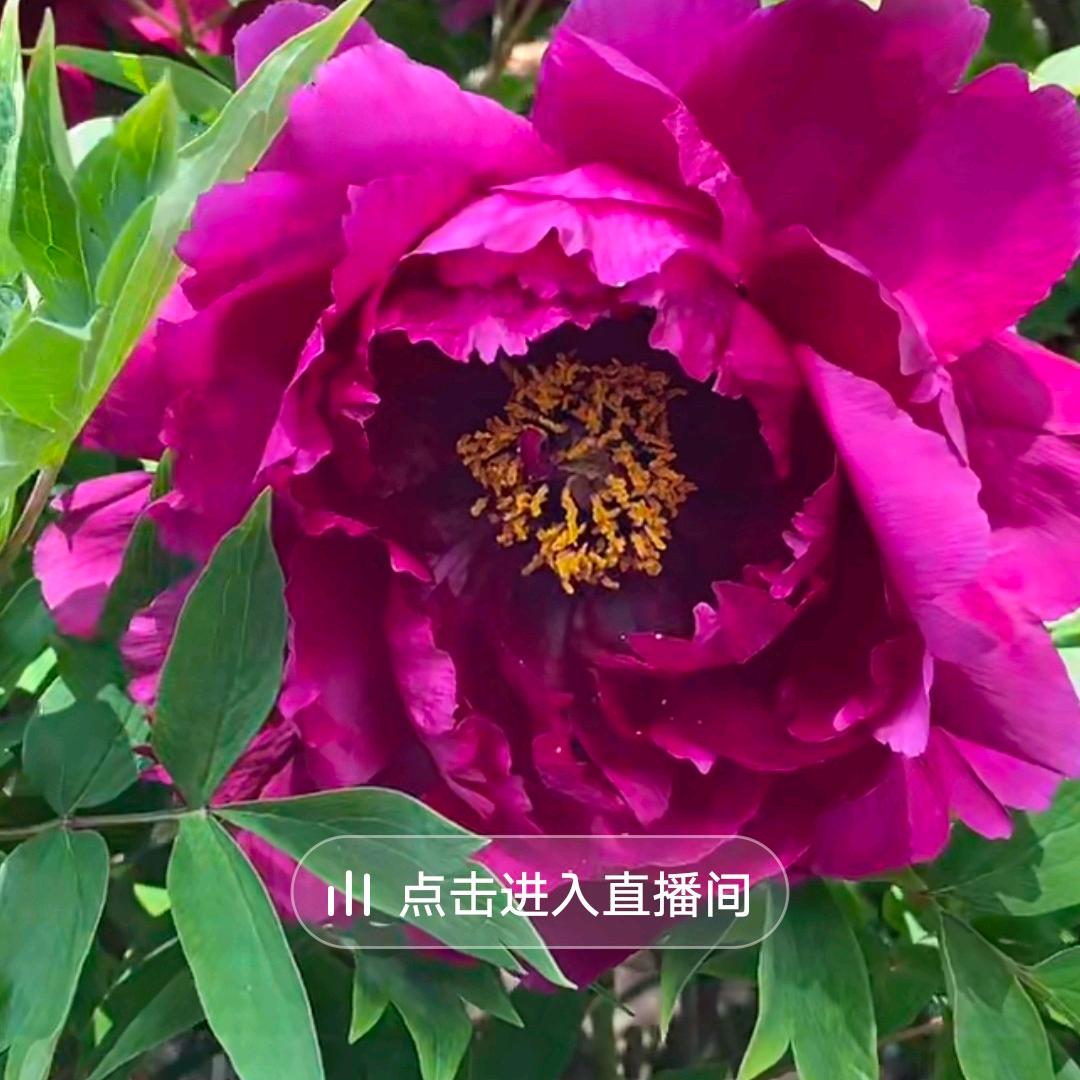 用户699304299