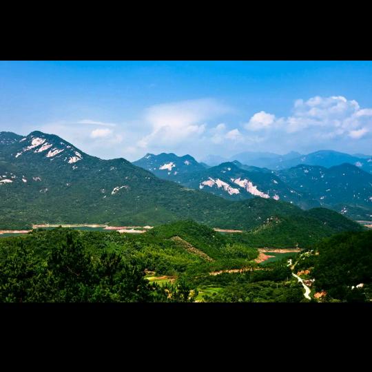 东山再起刘柱