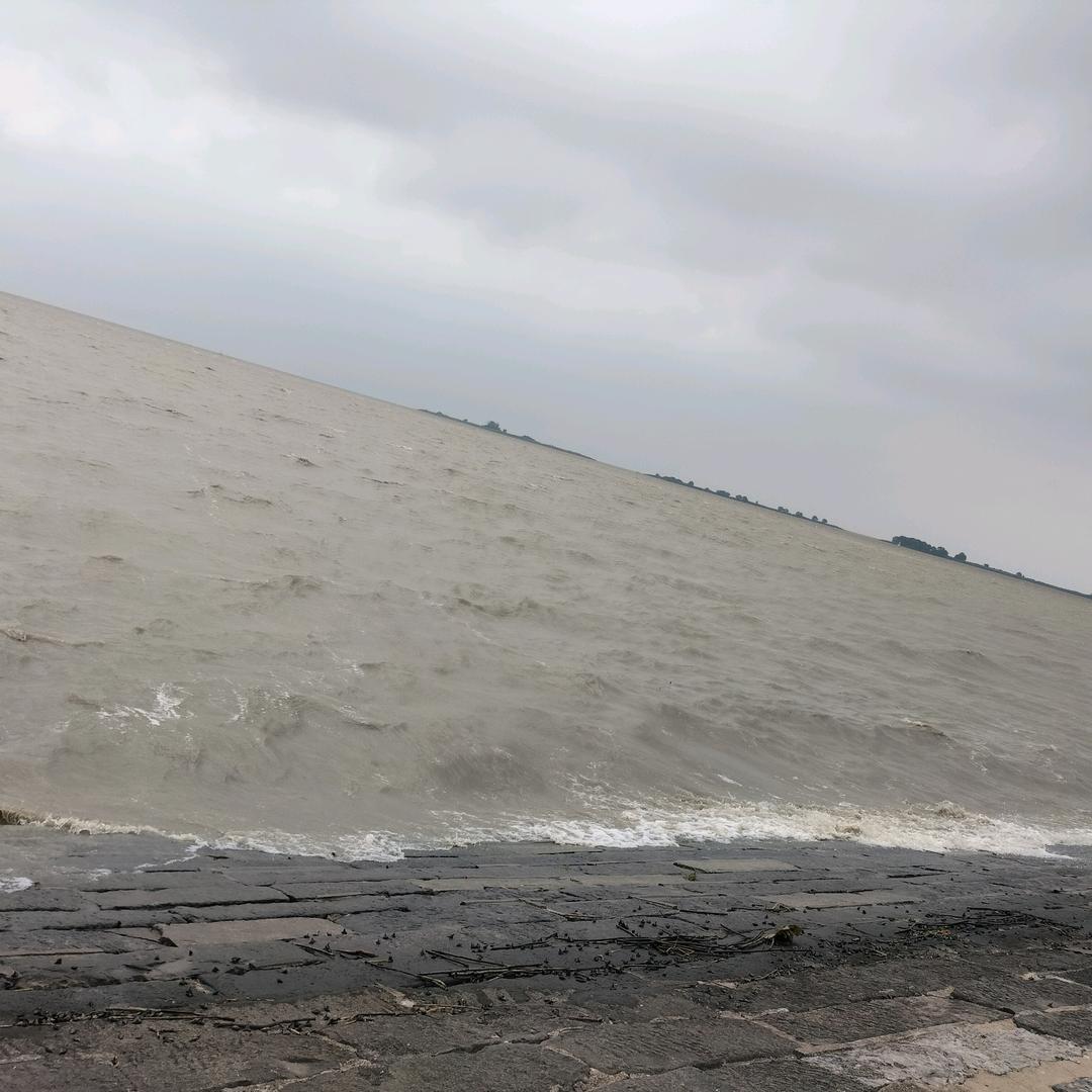 悠悠左河
