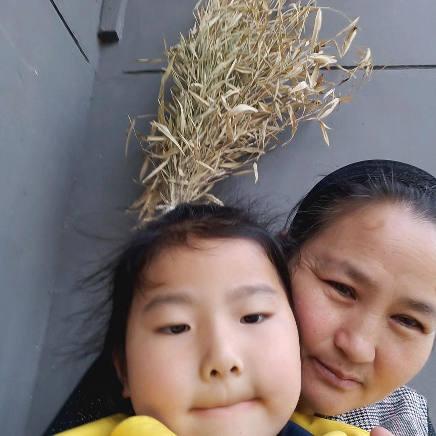 许淑芹