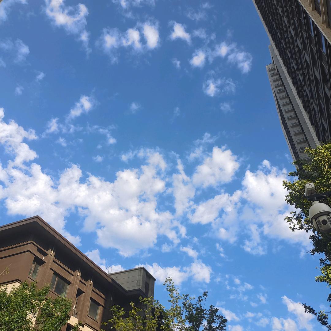 三门峡新鑫达汽车销售