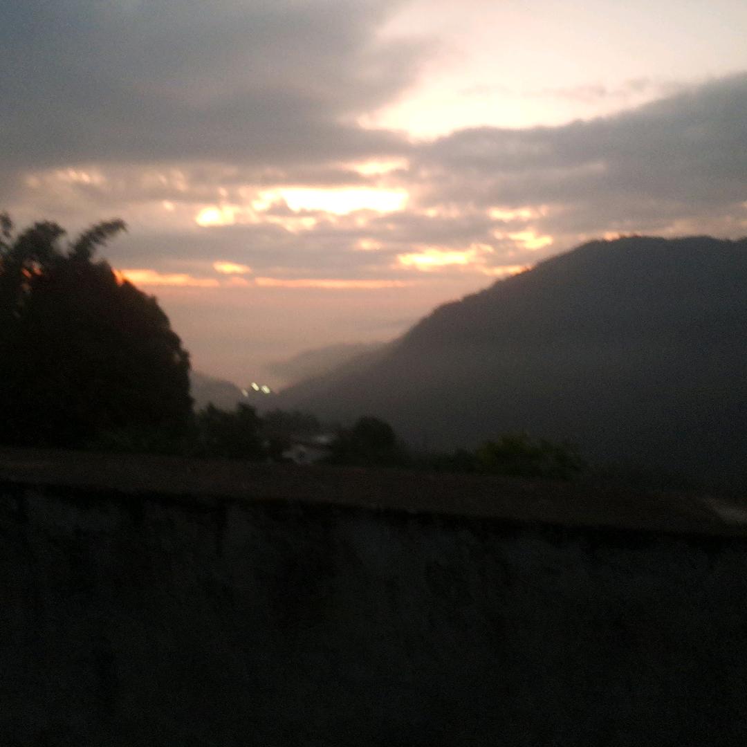 小白不白