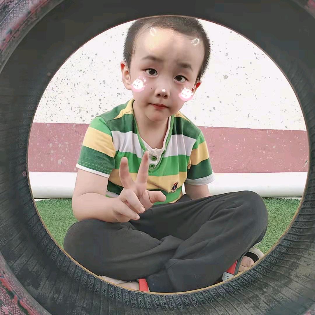 会飞的鱼