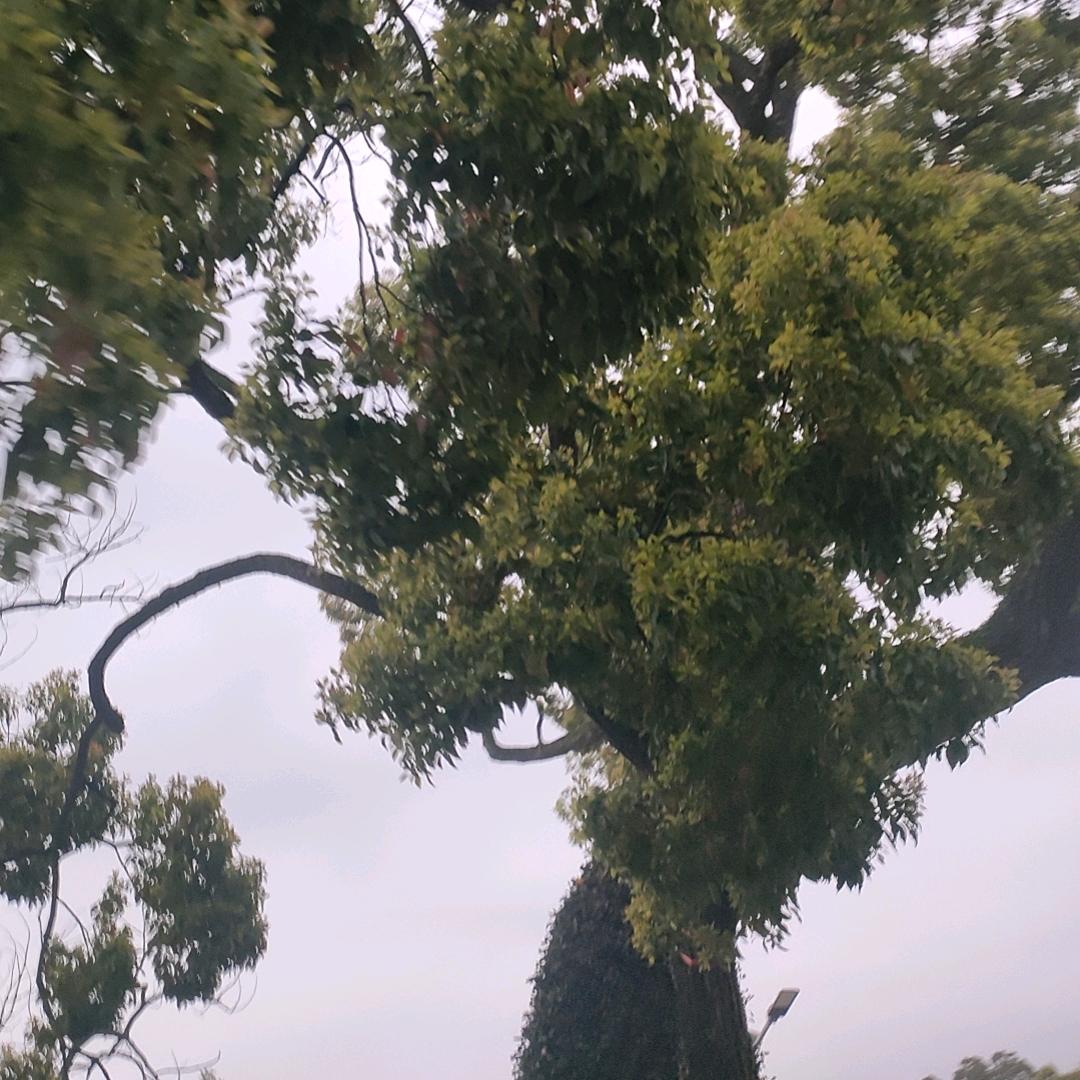 陪妳、一世歡顏