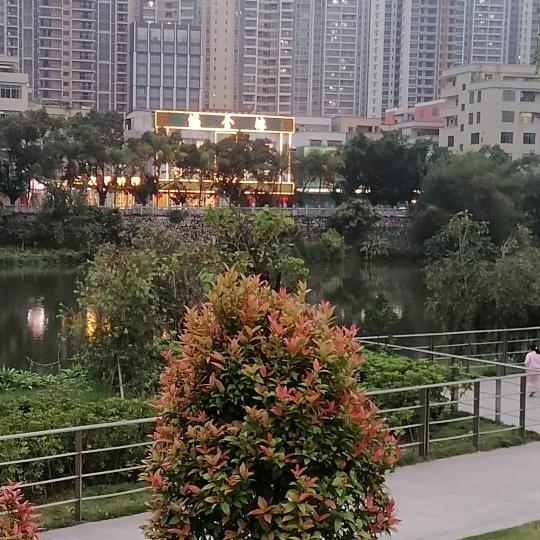 美好一天❤️❤️