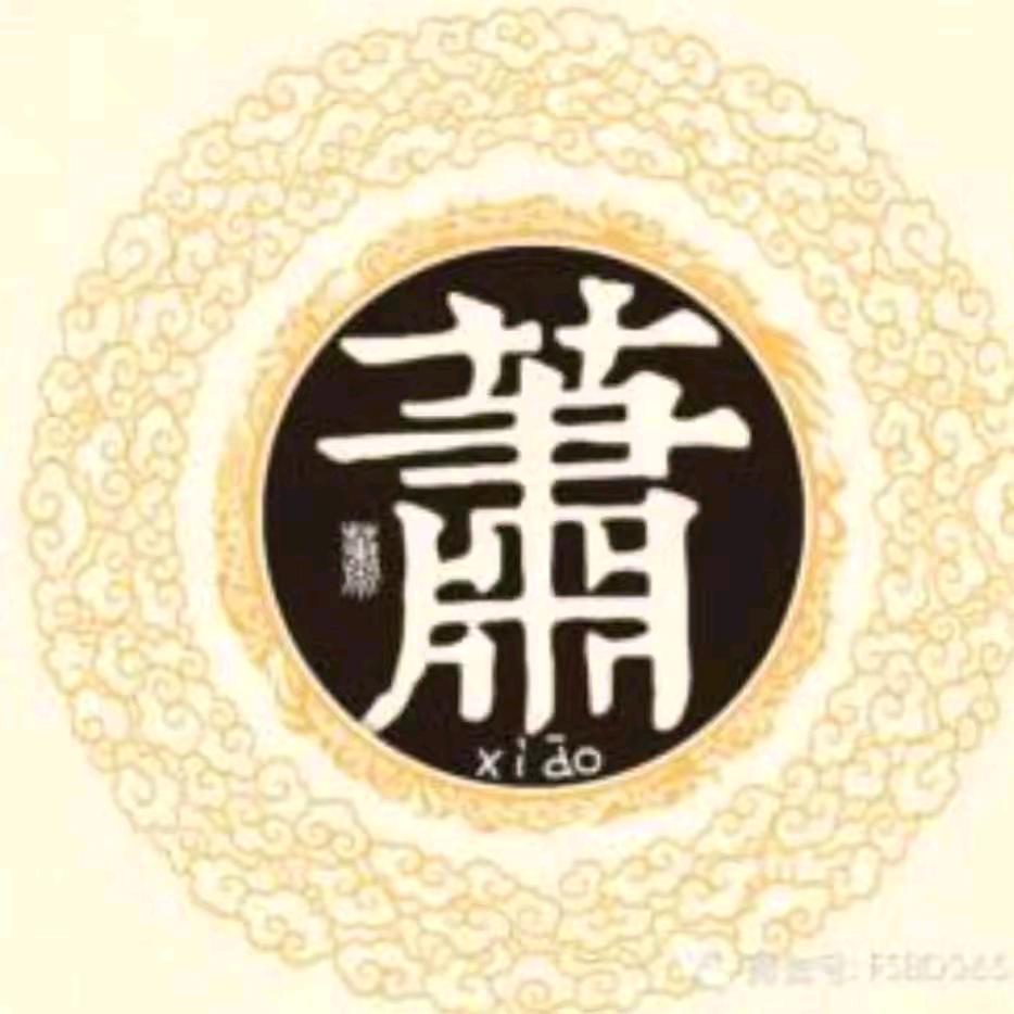 肖洒风刘