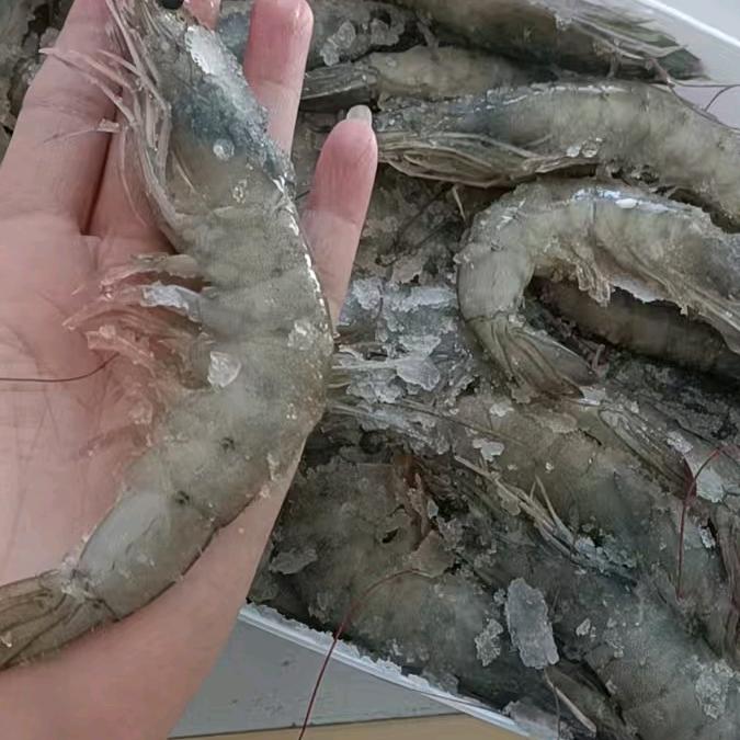 登封市威海海产品