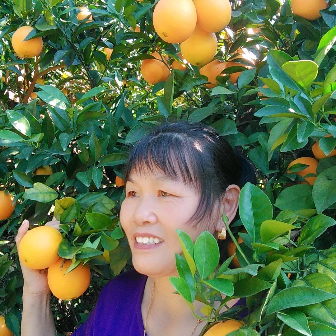 红英（赣南脐橙🍊）