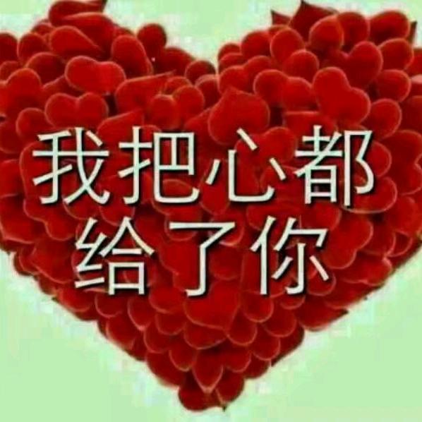 风迷了路