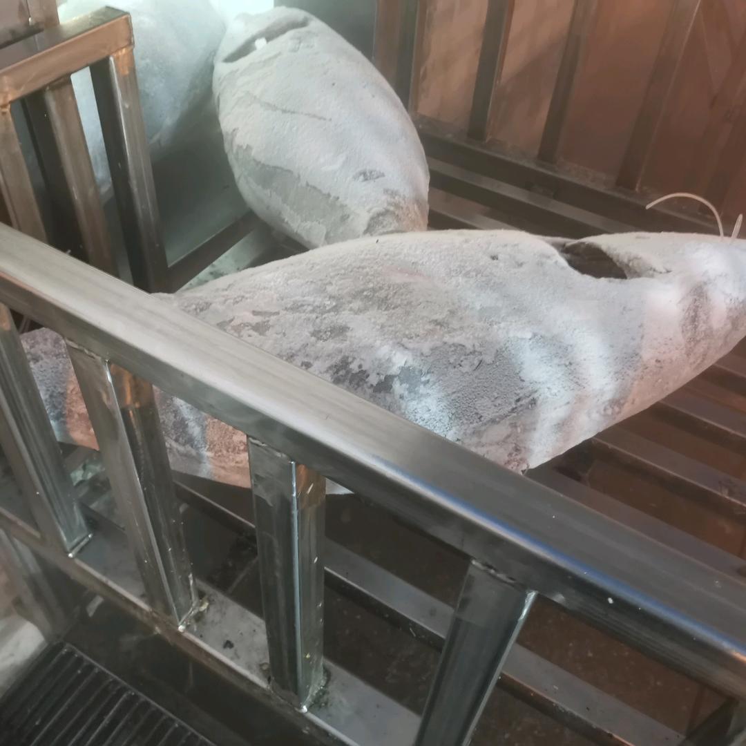 鲔鱼