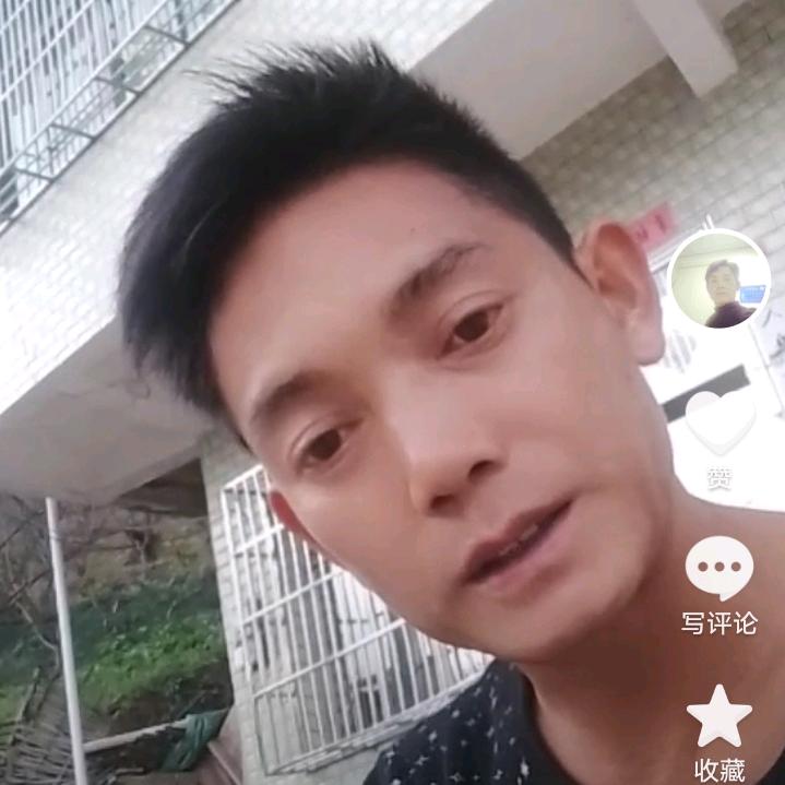 蜂糖李之乡
