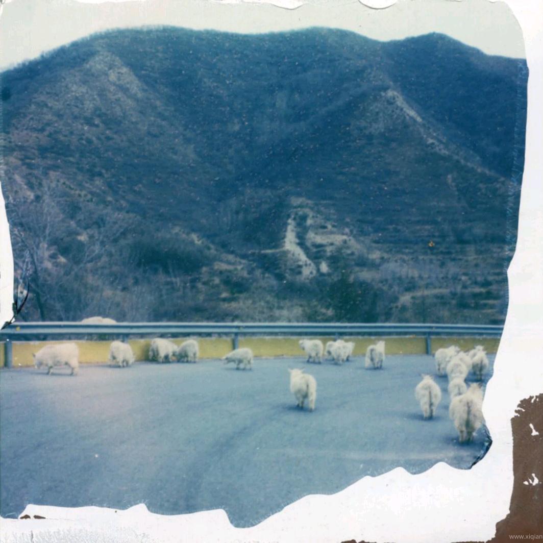 后座剧场