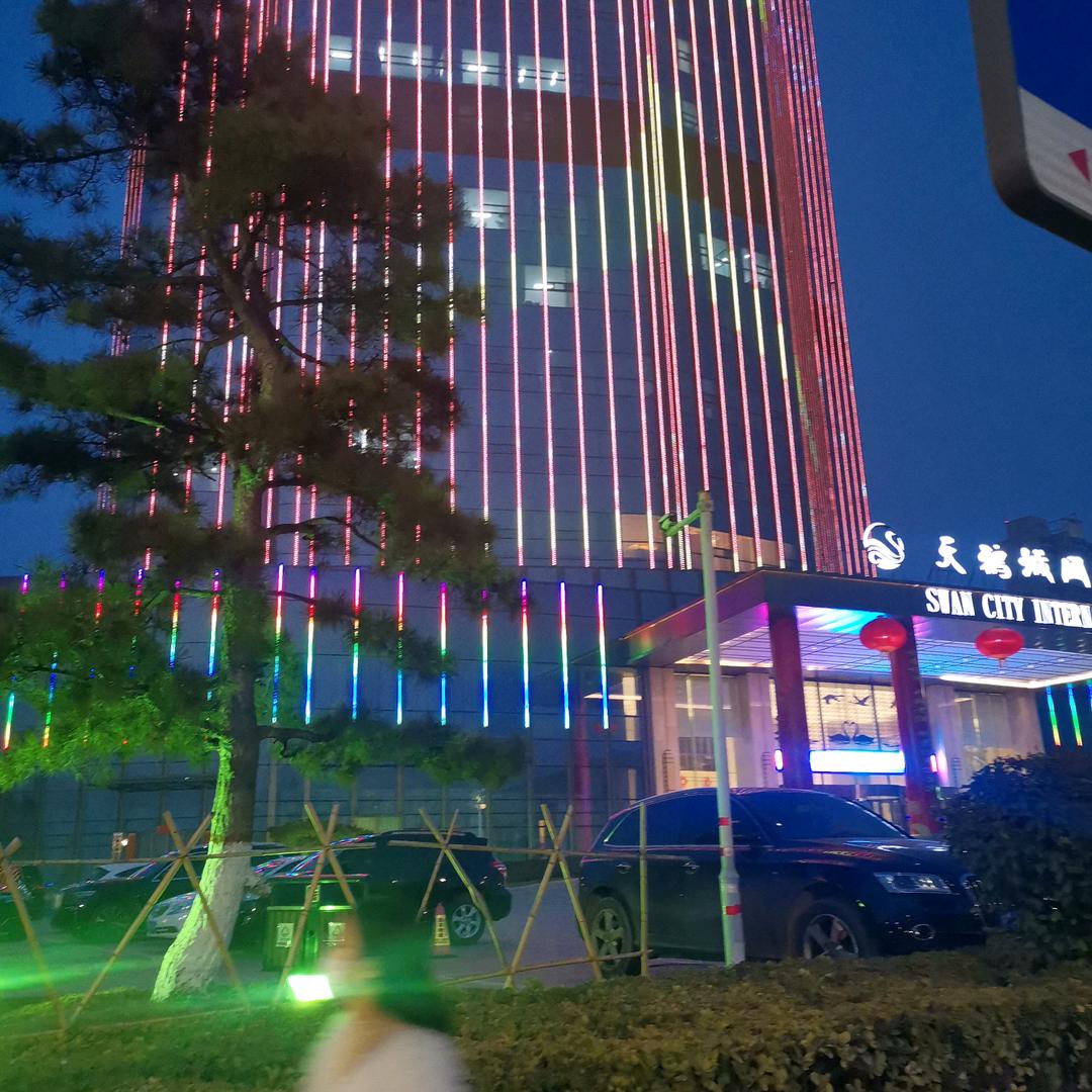 金饼满堂官方号