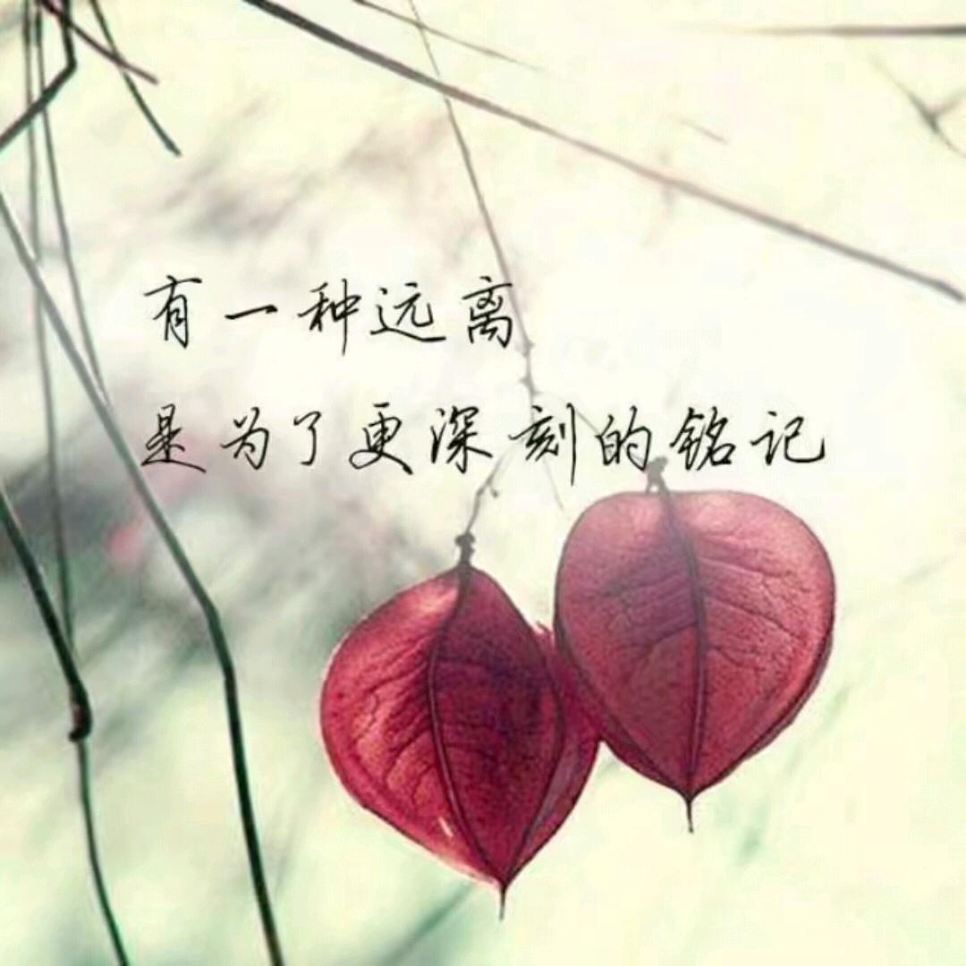 ღ᭄ꦿ習慣、一個人 ꕥ᭄