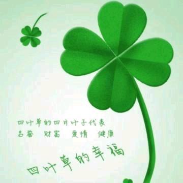 🍀四叶草🍀